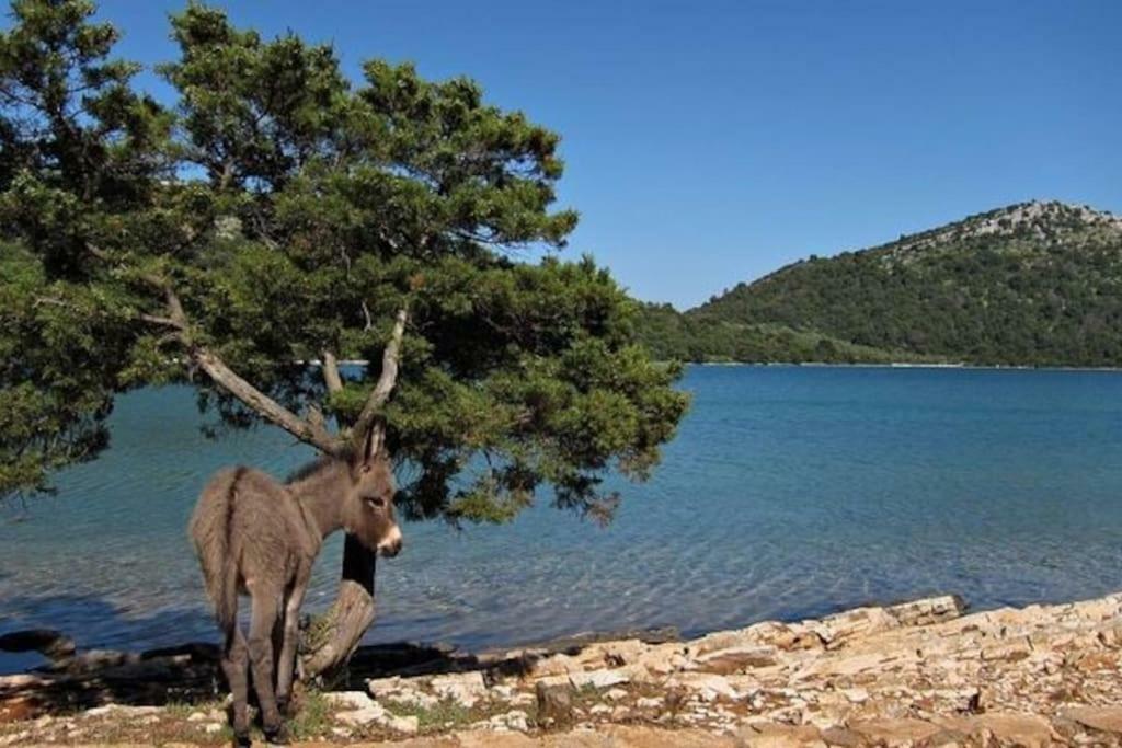 Apartment Lordanic Zaglav, Dugi Otok Luaran gambar