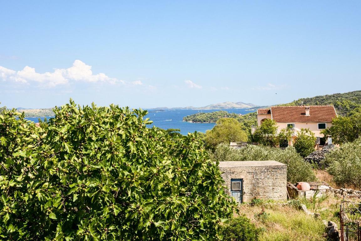 Apartment Lordanic Zaglav, Dugi Otok Luaran gambar